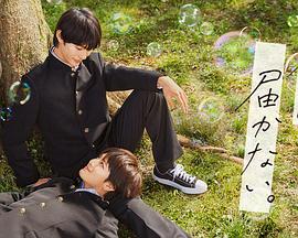 晋城网站优化怎么收费